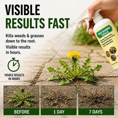 ✨2026 SALE - Fast-Acting Natural Weed & Grass Killer Spray